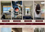 install wordpress, themes, and plugins, do demo upload and customize
