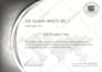 make you six sigma white belt certified sswb