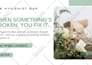 design investor pitch deck, ppt and canva business presentation