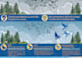 do academic, medical, conference, research infographic poster presentation