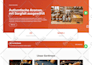 design, redesign german shopify store website, webshop, german wordpress website