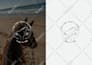 design brand guidelines, logo and brand identity, brand style guide identity