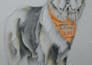 draw hyper realistic animals