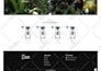 build ecommerce website online shop or webshop with wordpress woocommerce