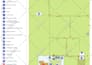 design vector maps, event maps, fantasy festival maps