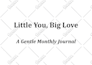 be your amazon kindle KDP virtual assistant