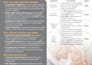 create your business capability statement, ebook, flyer, bifold trifold brochure