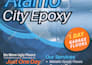 design professional digital flyer within one day