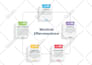 do flowchart, org chart, canva and business infographic