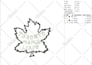 do professional embroidery digitizing for dst, pes, jef, emb