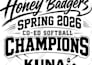 design home plate or triangle pennants