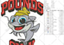 do embroidery digitizing into dst, pes file in 1 hour