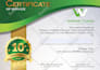 design  a professional diploma certificate, award certificate