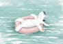 create children story book illustrations