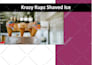 write an investor ready business plan, startups, proposal, business plan