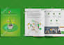 design white paper, brochure, reports in canva