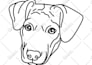 convert your image to an high detailed line art