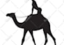 do vector tracing or convert to vector quickly