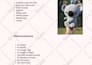 write custom amigurumi crochet patterns with step by step picture tutorials