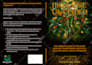 convert kindle ebook cover to KDP paperback  book cover