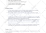 do wordpress speed optimization for google pagespeed insight