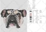 convert your pet dog cat  into embroidery digitizing  with an hour