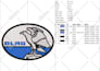 do embroidery digitizing into dst,pes in just 30 minutes