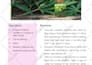 create an amazing cookbook, healthy recipes on any diet