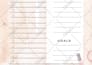 craft a stunning brand identity to elevate your small business