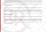 design premium word documents, powerpoint presentations and templates