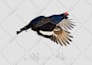 create any animal in the style you want