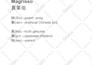 create japanese kanji name and 6 patterns of the electronic seal