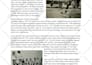 write compelling articles for your website