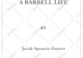 format, typeset ebook paperback hardcover amazon kdp lulu ingramspark typesetter