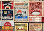 design the perfect wallpaper, wall art, or mural for your space