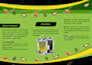 create awesome tri fold brochure for your business