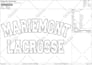 do applique embroidery digitizing into dst