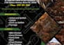 create professional flyer, poster, invitation card, brochure design