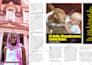 layout Magazine, Flyer, Brochure, Catalog