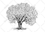 create vector illustration and art