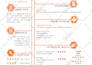 do professional CV, resume design