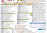 create professional interactive fillable PDF form