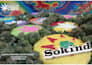 design any Social media Graphics COVERs, banner, header