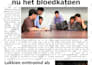 design professional look newspaper