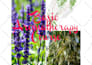 give you an aromatherapy course