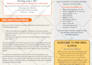 design a customized newsletter or magazine