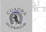 do dst embroidery digitizing in 1 hour