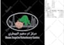 do dst embroidery digitizing in 1 hour