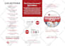 design a trifold brochure
