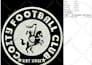 do dst embroidery digitizing in 1 hour